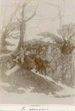 Suisse, Amis faisant