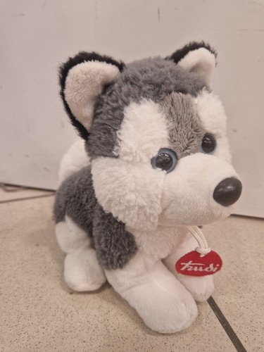 Peluche plush trudi cane husky - plush,