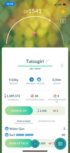 Pokemon 978 - ⭐️pokemon, ⭐️#978