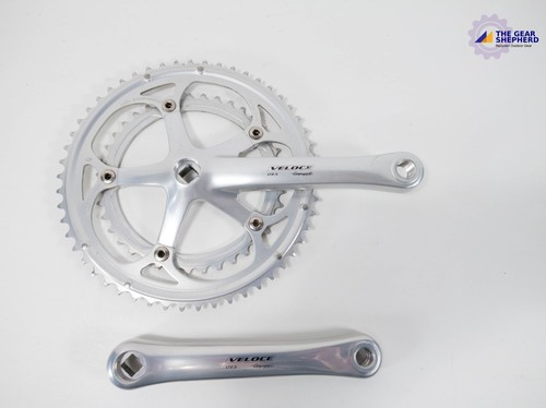 Guarnitura campagnolo veloce - guarnitura,