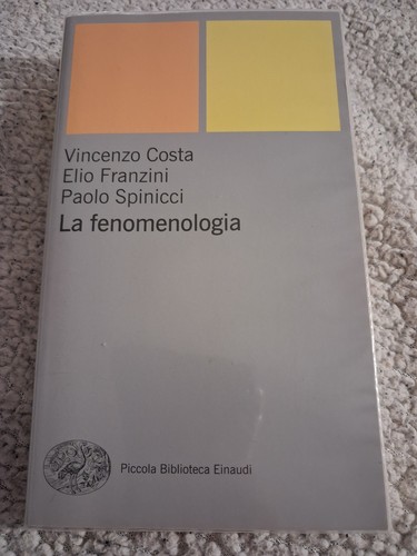 Fenomenologia vincenzo - la,