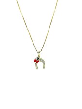 Collana Portafortuna Ferro di
