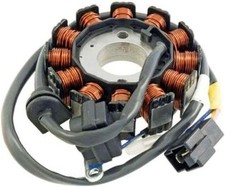Statore 12 Poli con Piastre
