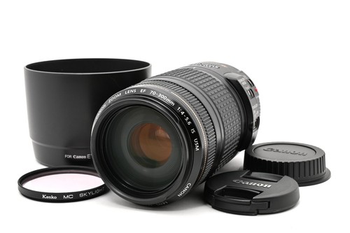 Canon 300 4 - f/4-5.6, is