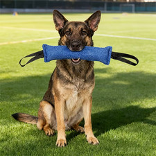 Gioco per Cani, Per