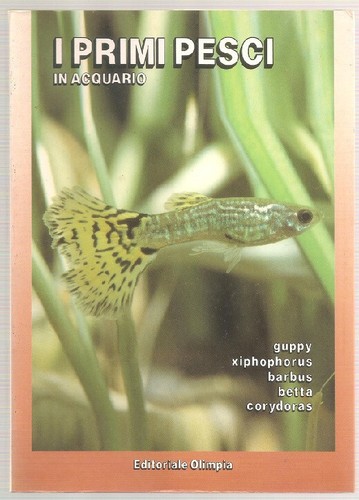 Libro primi pesci in - libro,
