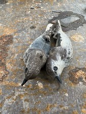 UCCELLI FINTI ALLODOLA COPPIA