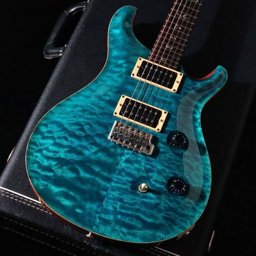 Paul reed smith - paul, 2008