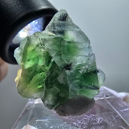 Fluorite fantasma tormalina - fluorite,
