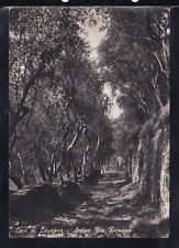 Cartolina Cavi di Lavagna Antica Via Romana G1977