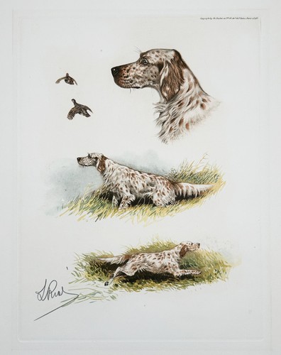 Boris riab cani - cani, caccia