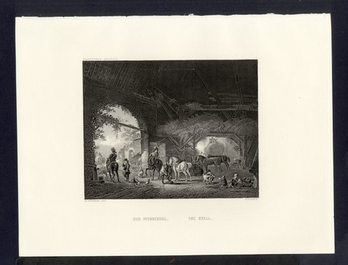 Stalla incisione del - stalla,