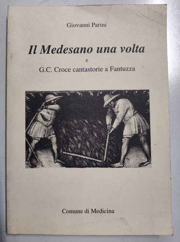 Parini giovanni il - -, medesano
