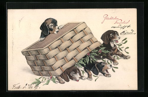 Cartolina quattro giovani - quattro,