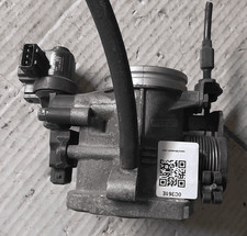 13541432058 Corpo farfallato