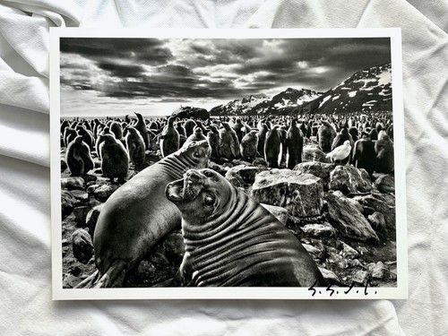 Sebastiao salgado originale - sebastiao,