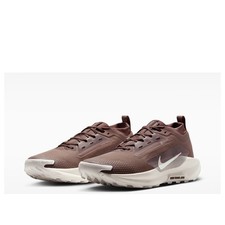 Nike Pegasus Trail 5 GTX SP
