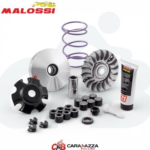 Variatore malossi multivar - variatore,
