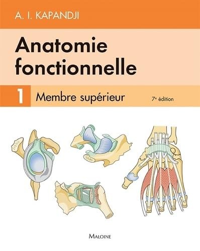 Anatomie fonctionnelle - fonctionnelle, (1)