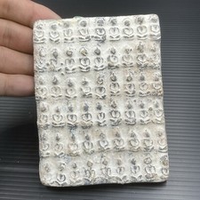 Unica antica terracotta del