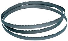 Nastro Di Seghe 1638 X 13 X