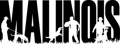 Malinois belga pastore - malinois, belga.