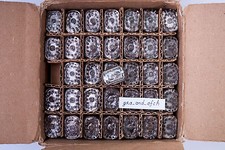 IN-12B Nixie Tubes NUOVO