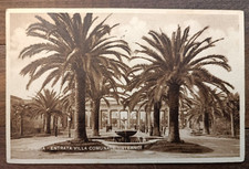 1943  FOGGIA con Le PALME-80753