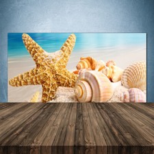 Paraschizzi da Cucina 140x70