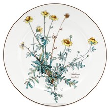 Piatto da portata Anthemis tinctoria senza radice Villeroy & Boch Botanica