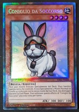 CONIGLIO DA SOCCORSO Rara