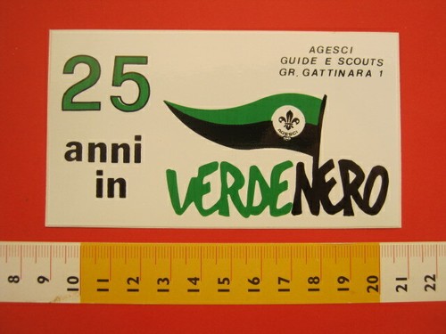 Sjhh1 sticker - sticker, scouts