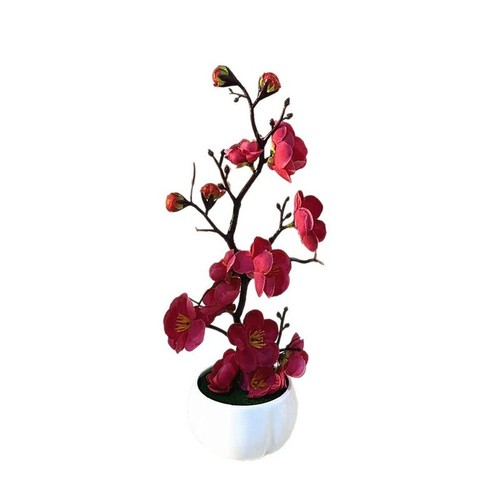 Bonsai fiori prugna - di,