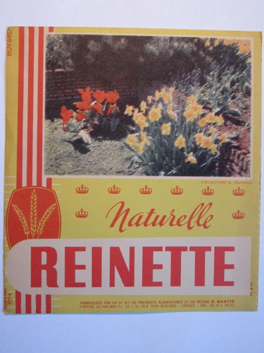 10c19 antico assorbente - antico,