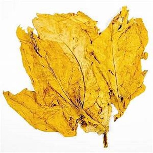 Tabacco virginia oro 100 - tabacco,
