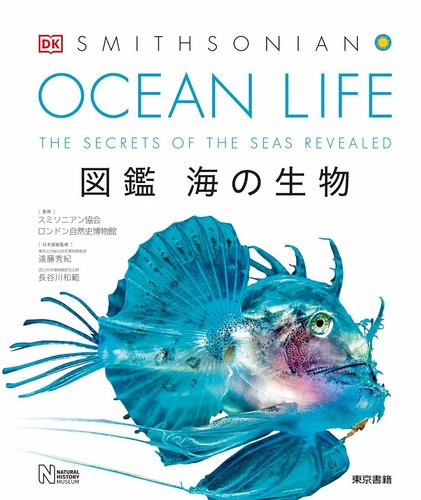 Ocean life encyclopedia - ocean,
