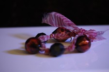 Stupendo Bracciale Rosa Nastro
