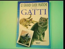 Gatti altieri grandi guide - gatti,