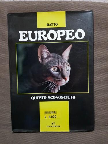 Gatto europeo questo - europeo,