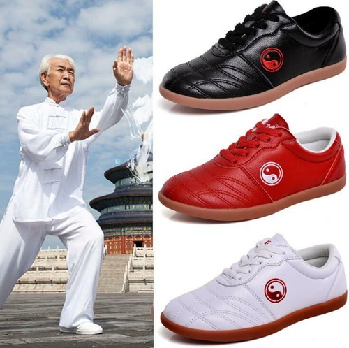 Nuove scarpe kung tai chi - scarpe,