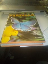 FARFALLE enciclopedia