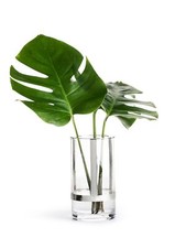 Vaso Regolabile In Vetro Vaso Per Fiori Porta Candela Vaso Decorativo