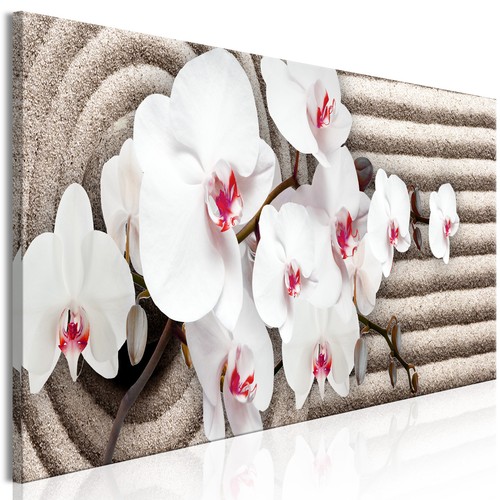 Sabbia orchidea fiori quadro - orchidea,
