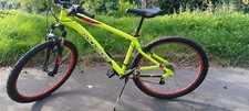 bicicletta uomo mountain bike