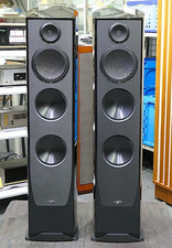 Paradigm Persona 3F Set Coppia