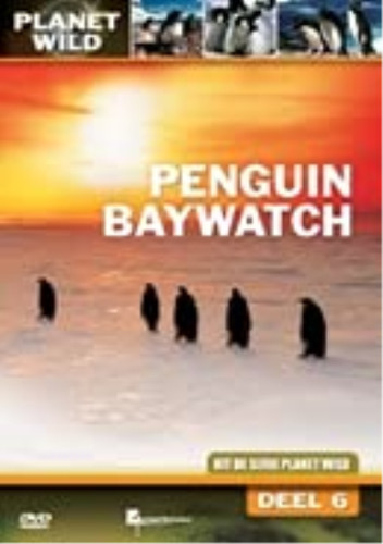 Penguin baywatch - , (dvd)