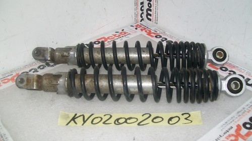 Coppia ammortizzatori torque