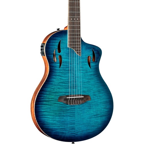 Ortega tourplayer thinline - tourplayer,