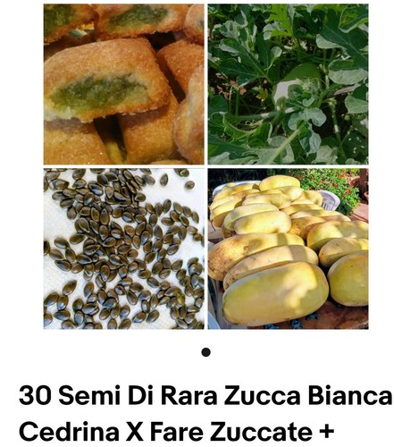 Semi zucca bianca cedrina - di,