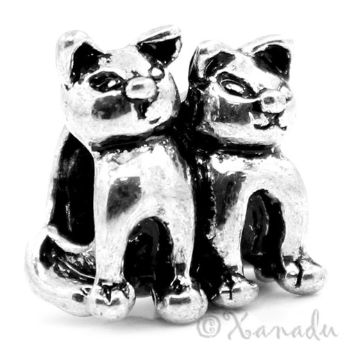 Gattino gatti europei - gattino,